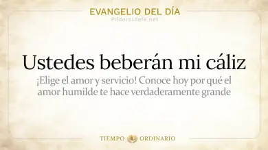 Evangelio de hoy Sábado 25 de Julio 2026: Mateo 20,20-28