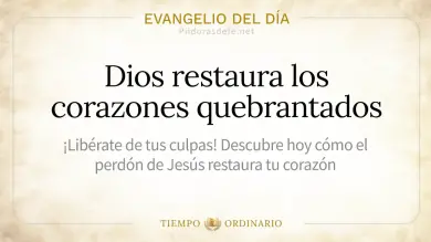 Evangelio de hoy Viernes 21 de Agosto 2026: Juan 21,15-17