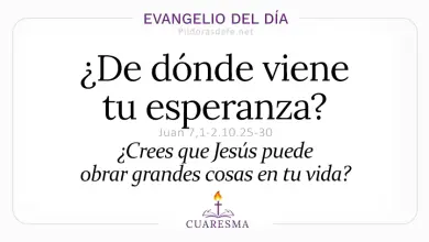 Evangelio del Día Viernes 20 de Marzo 2026: Juan 7,1-2.10.25-30 🙏