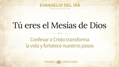 Evangelio de hoy Viernes 25 de Septiembre 2026: Lucas 9,18-22