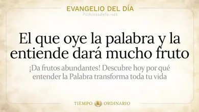 Evangelio de hoy Viernes 24 de Julio 2026: San Mateo 13,18-23
