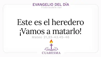 Evangelio del D&iacute;a Viernes 6 Mar 2026: Mateo 21,33-43.45-46 + Reflexi&oacute;n 🙏