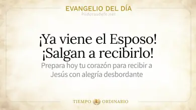 Evangelio de hoy Viernes 28 de Agosto 2026: Mateo 25,1-13