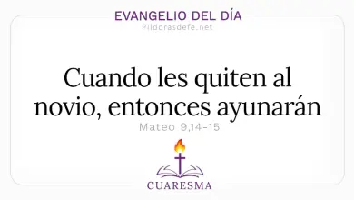 Evangelio del D&iacute;a Viernes despu&eacute;s de Ceniza 20 Feb 2026: Mateo 9,14-15