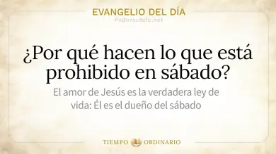 Evangelio de hoy Sábado 5 de Septiembre de 2026: Lucas 6,1-5