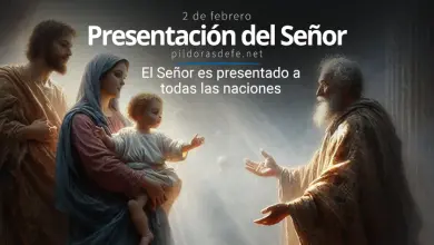 Fiesta de la Presentación del Señor: Presentación de Jesús al Templo