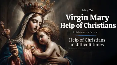 Mary Help of Christians: The Invincible Shield of Faith During Our Most Difficult Times