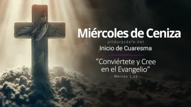 Conviértete y cree en el Evangelio en el Miércoles de Ceniza