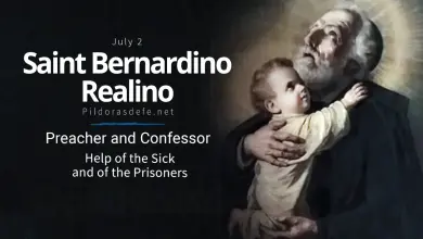 Saint Bernardino Realino: The Jesuit Priest Who Became the Patron of the Suffering