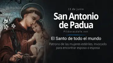 San Antonio de Padua, sacerdote franciscano: Doctor de la Iglesia