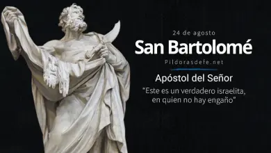 San Bartolomé, Apóstol de nuestro Señor Jesucristo: Vida y obra