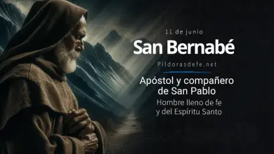 San Bernabé, Apóstol y Misionero del Señor: Biografía y vida