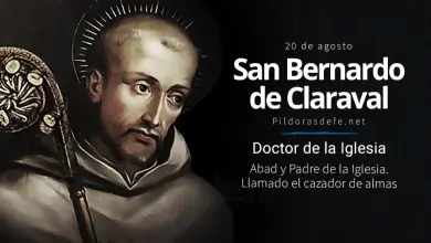 San Bernardo, Abad, Doctor de la Iglesia: El cazador de almas