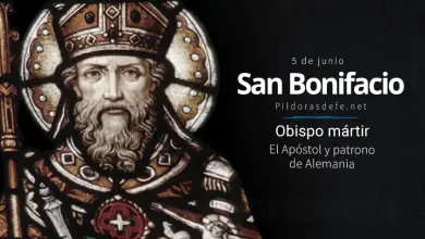San Bonifacio, Arzobispo de Máinz, Mártir: El Apóstol de Alemania