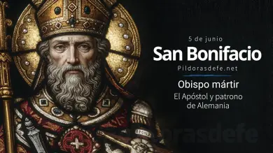 San Bonifacio, Arzobispo de Máinz, Mártir: El Apóstol de Alemania