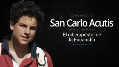 San Carlo Acutis, Biografía y vida: El Ciberapóstol de la Eucaristía