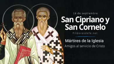 San Cornelio y San Cipriano: Mártires defensores de la fe San Cornelio, Papa y San Cipriano, Obispo: Mártires