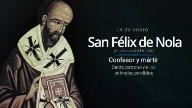 San Félix de Nola: Confesor y mártir de las torturas, el encarcelamiento y de las privaciones