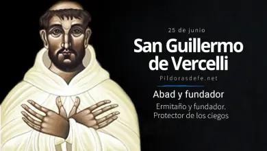 San Guillermo de Vercelli, Abad, ermitaño y Fundador: Biografía y obra