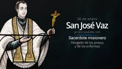 San José Vaz: Primer Santo de Sri Lanka: Misionero