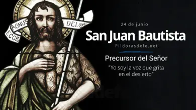 Nacimiento de San Juan Bautista, Precursor del Señor: Solemnidad San Juan Bautista, Nacimiento: Precursor del Señor