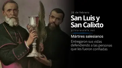 San Luis Versiglia y San Calixto Caravario, mártires: Biografía