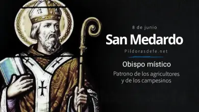 San Medardo de Noyón, Obispo mártir: Intercesor contra la Esterilidad San Medardo, Místico y mártir: Patrono de los agricultores