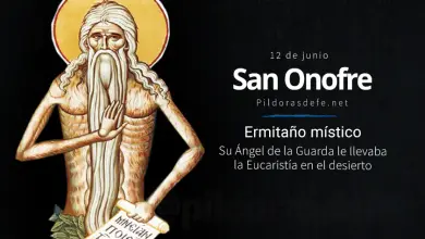 San Onofre de Egipto, Ermitaño místico: Biografía e historia