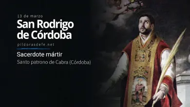 San Rodrigo de Córdoba, Presbítero mártir: Biografía y vida