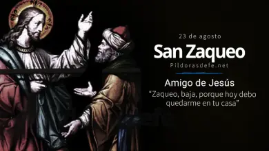San Zaqueo, recaudador de impuestos que se hizo amigo de Jesús