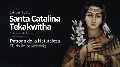 Santa Catalina Tekakwitha, Virgen Indígena iroquesa conocida como el lirio de los Mohawks Santa Catalina Tekakwitha (Kateri): El lirio de los Mohawks
