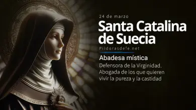 Santa Catalina de Suecia, Esposa y religiosa: Biografía y vida