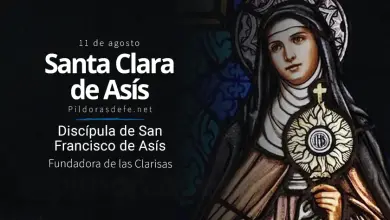 Santa Clara de Asís, Religiosa: Discípula de San Francisco de Asís