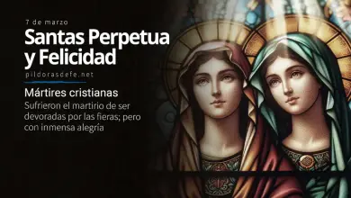 Santas Perpetua y Felicidad, Mártires cristianas