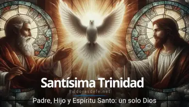Solemnidad de la Santísima Trinidad, un solo Dios