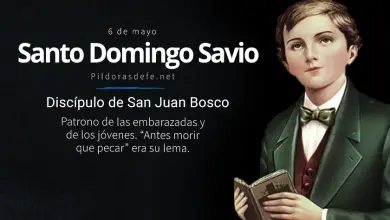 Santo Domingo Savio: Patrono de las embarazadas y de los jóvenes