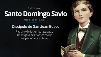 Santo Domingo Savio, Discípulo de Don Bosco que se destacó por su piedad y devoción a la Virgen María Santo Domingo Savio: Patrono de las embarazadas y de los jóvenes