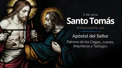 Fiesta de Santo Tomás, Apóstol del Señor que venció todas la incredulidad