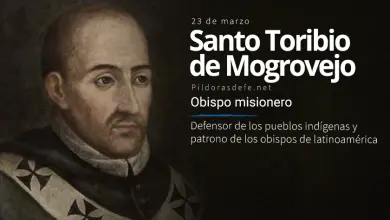 Santo Toribio de Mogrovejo. Patrono de los obispos y defensor de los indígenas