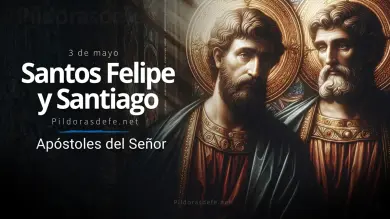 Santo del Día: Los Santos Felipe y Santiago, Testigos Directos de la Luz de Cristo ✨