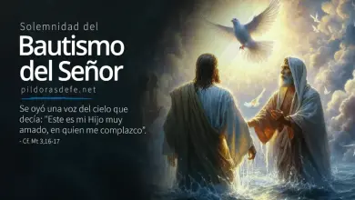Bautismo del Señor: Fiesta: Segunda Manifestación del Señor