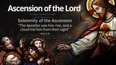 The Glorious Solemnity of the Ascension of Our Lord Jesus Christ into Heavenly Glory