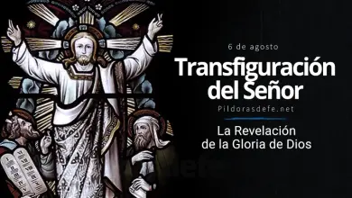 Fiesta de la Transfiguración de nuestro Señor Jesucristo Transfiguración del Señor: Revelación de la Gloria de Dios