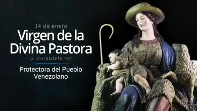 Virgen de la Divina Pastora de las Almas: Patrona de Venezuela