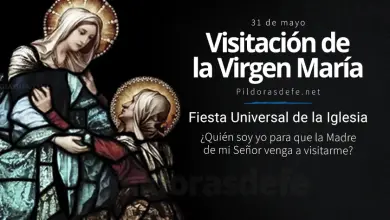 La Visitación de la Santísima Virgen María: Fiesta