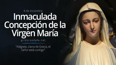 Solemnidad de la Inmaculada Concepción de la Virgen María