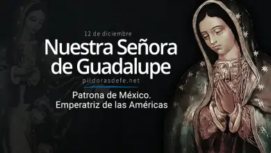 Virgen de Guadalupe. Emperatriz de las Américas. Patrona de México