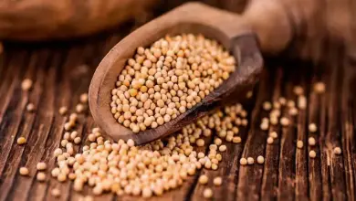 El Reino de Dios y el Grano de Mostaza ¿Qué tienen en común?