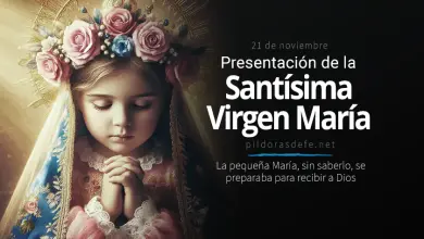 Memoria de la Presentación de la Bienaventurada Virgen María