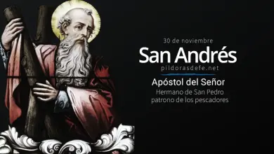 San Andrés, Apóstol del Señor y mártir. Biografia y vida